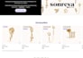 expert shopify website developer for theme customization, shopify store design