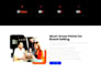 build professional wordpress e commerce websites