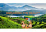 do creative thumbnails designed to grab attention