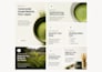 redesign and migrate your wordpress squarespace or wix site to webflow