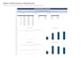 create a professional excel dashboard and KPI report