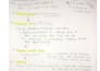 type handwritten notes into a clean digital document