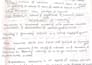create neat handwritten notes