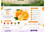 design a professional infographic using canva