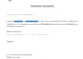 do professional ms word formatting and documents editing