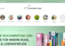 sell you a ready to launch shopify cbd dropshipping business