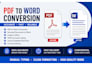 accurate copy typing and PDF to word conversion