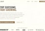 build a professional coach website, consulting website or business website