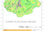 do spatial data analysis, gis mapping and custom cartography