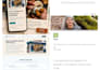 design responsive website in 1 hour