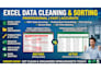 clean, organize, and format your excel or CSV data