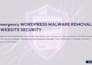 do wordpress malware removal, hacked wordpress security, website security