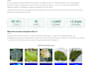 build image classification or object detection model