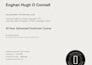 teach business english language to professionals