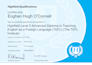 teach business english language to professionals