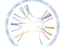 do advanced bioinformatics data analysis and visualization