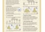 do advanced spss data analysis, statistical modeling, and apa report writ