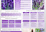write clear and concise medical research abstracts