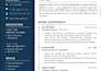 write professional resume ats cover letter and linkden profile optimization