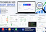 audit website index google search console technical SEO expert schema markup