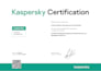 provide kaspersky antivirus and endpoint security support