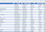 clean and format data professionally and clean messy data