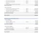 prepare professional financial statements in excel