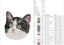 do expert embroidery digitizing and 3d puff master design