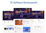 develop a professional responsive website for your business