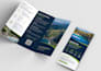 design a professional flyer or brochure for your business