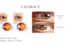 create professional medical powerpoint presentations