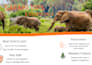 create a travel guide, e book for your destination