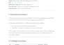 perform a professional website security audit