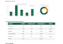 clean excel data and create mis reports and dashboards