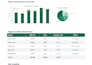 clean excel data and create mis reports and dashboards