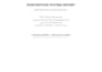 write a professional penetration testing and security audit report