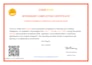 build a custom web application using python