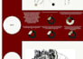 create clean architectural presentation boards and diagrams