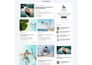 create a modern blog website, wordpress blog, magazine, or news website