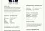 create a professional marriage biodata