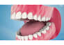create realistic 3d dental impact and medical animation video