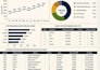 do data entry, data cleaning, excel analysis, and dashboards