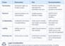 draft and review professional commercial contracts