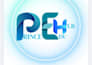 design professional canva posters, social media posts and graphics