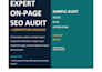 do expert on page SEO audit and competitor analysis