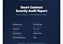 do a professional smart contract security audit on ethereum and solana