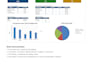 create a professional excel mis dashboard for your business