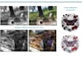 fix or modify your photos and ai generated artwork