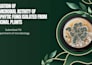 design scientific posters and infographics for research
