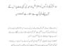 do urdu typing writting and professional proofreading